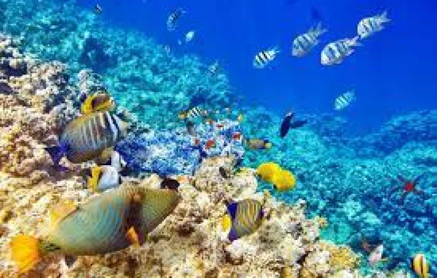 Sharm El Sheikh dal 28 Settembre al 5 Ottobre 2024 con volo da Pescara