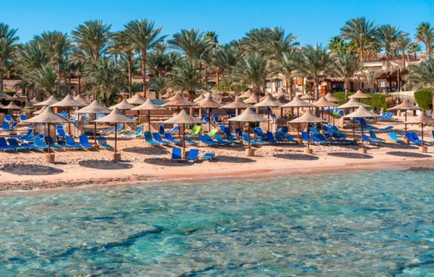 Sharm El-Sheikh dal 15 al 23 Novembre 2025